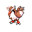 Pidgey